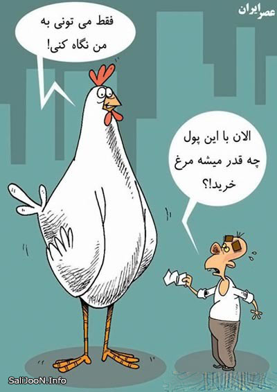 قیمت مرغ